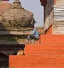 nepal-8768.jpg - 